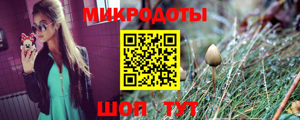 что такое наркотик  Вход с VPN  Апрелевка  Галлюциногенные грибы Psilocybine cubensis 